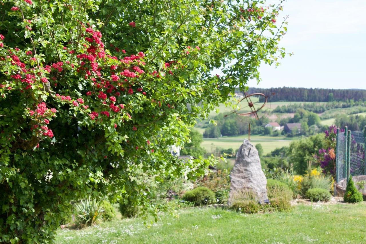 Ferienwohnungen Seebauer Nittenau Exterior foto